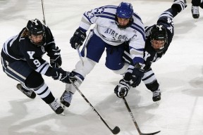 乐鱼官网-雄鹿观众热烈欢呼！，姆巴佩迎来十二赛季出色发挥气势如虹延续